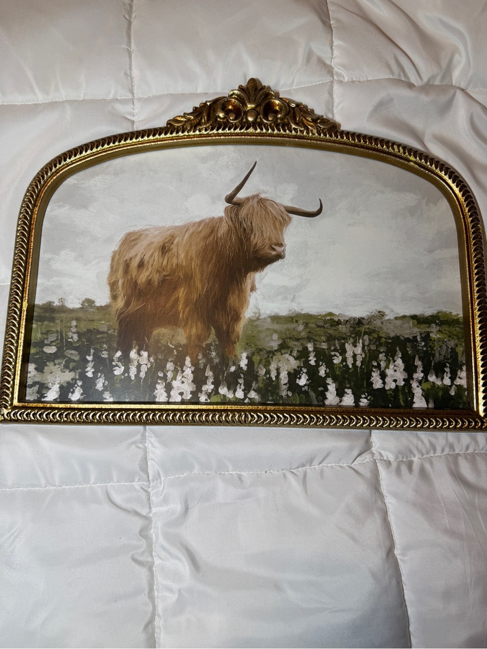 Rustic Brown Highland Cow Wall Art in Gold Frame